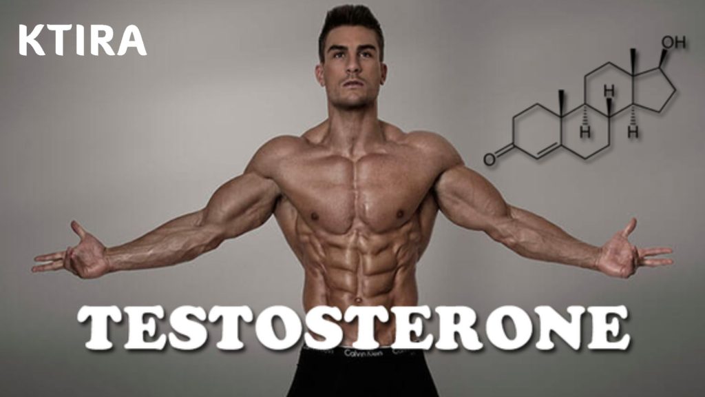 Hormone trong cơ thể nam giới