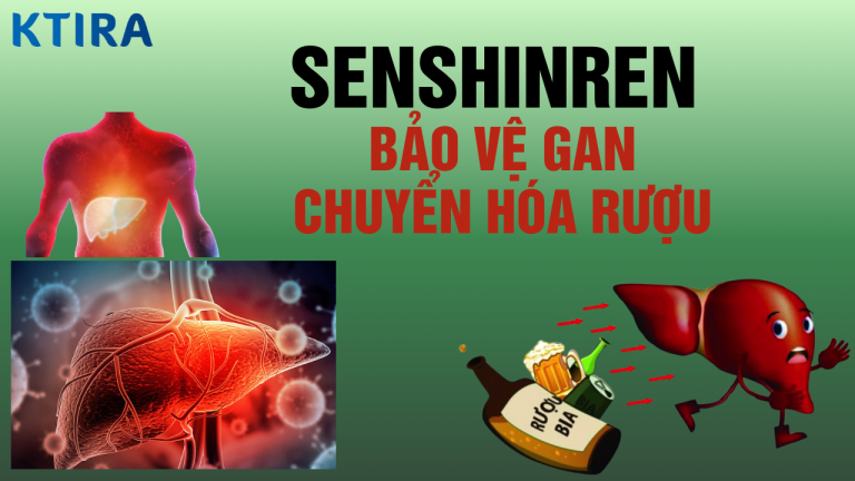 Bảo Vệ Gan-Chuyển Hóa Rượu: Đột Phá Khoa Học Ứng Dụng Trong 2 Chức Năng Quan Trọng Với Senshinren (Anphis®)