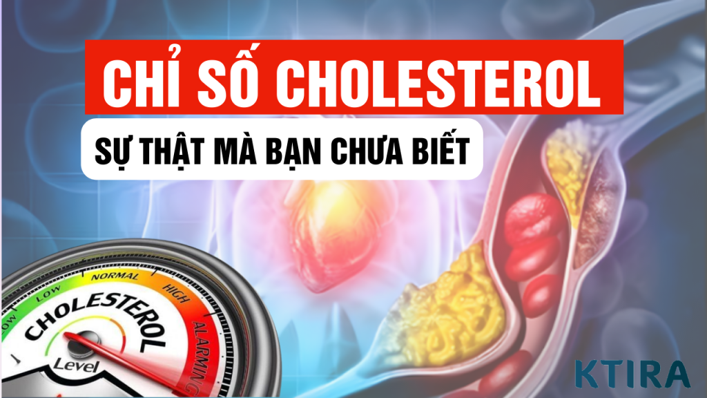 7-su-that- ve-cholesterol