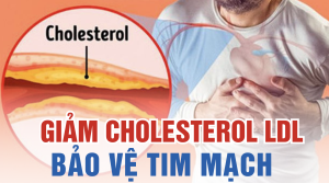 Giảm Cholesterol LDL ktira