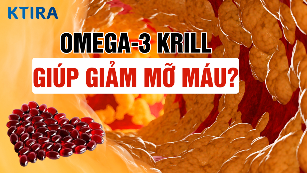 Omega-3 Krill có giúp giảm mỡ máu được không?