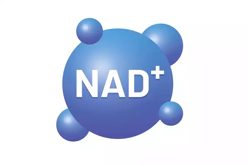 Minh họa phân tử NAD+