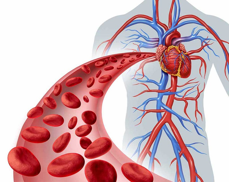 Rối loạn chuyển hóa lipid máu