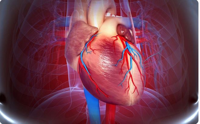 Nhồi máu cơ tim cấp là gì? 5 điều cần biết về nhồi máu cơ tim cấp