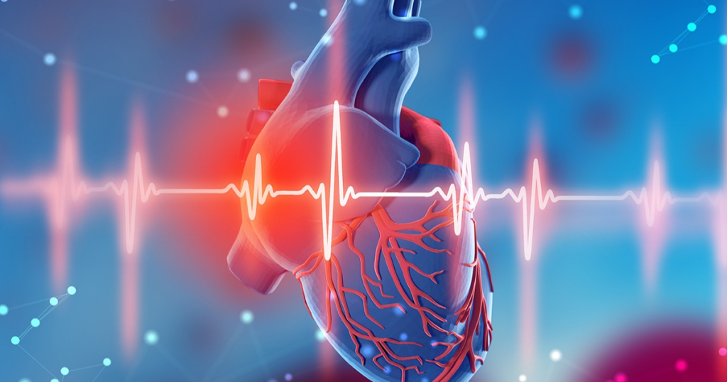 cải thiện chức năng tim mạch ktira
