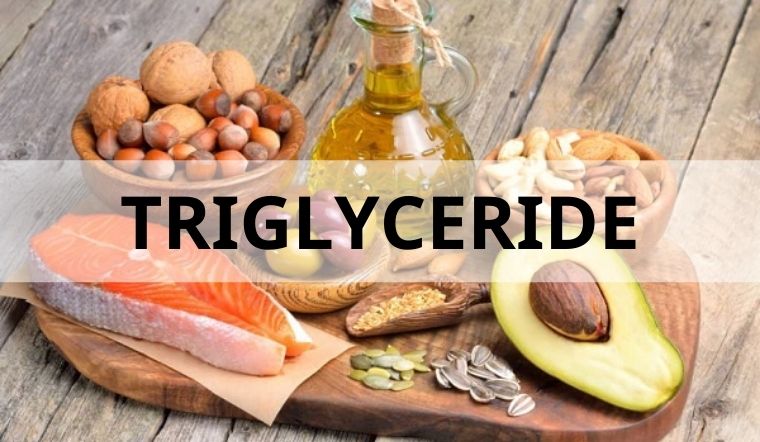 Giảm triglyceride trong máu hiệu quả