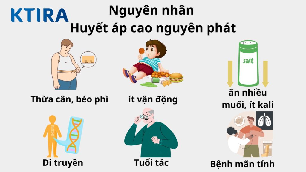 Nguyên nhân bệnh huyết áp