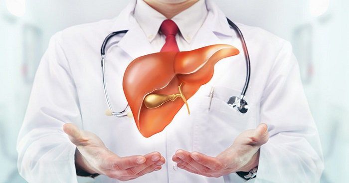 Gan nhiễm mỡ ở người già