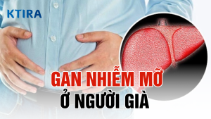 Gan nhiễm mỡ ở người già