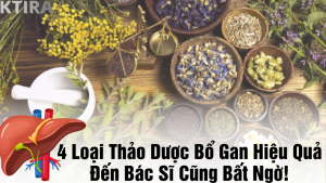 top 4 thảo dược bổ gan
