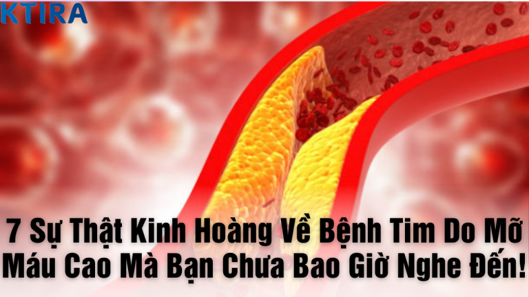 7 Sự Thật Kinh Hoàng Về Bệnh Tim Do Mỡ Máu Cao Mà Bạn Chưa Bao Giờ Nghe Đến!