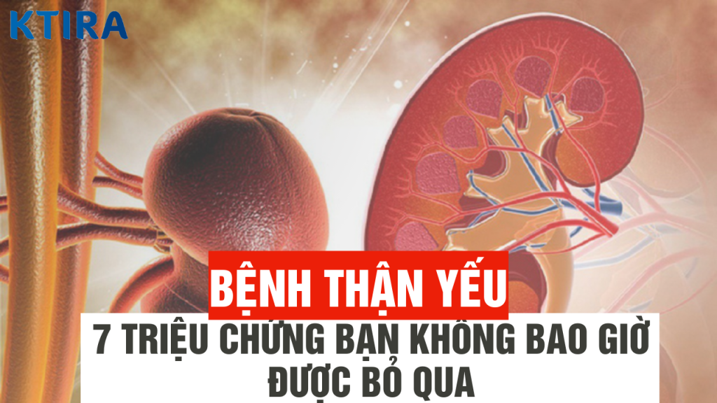 bệnh thận yếu và 7 triệu chứng liên quan