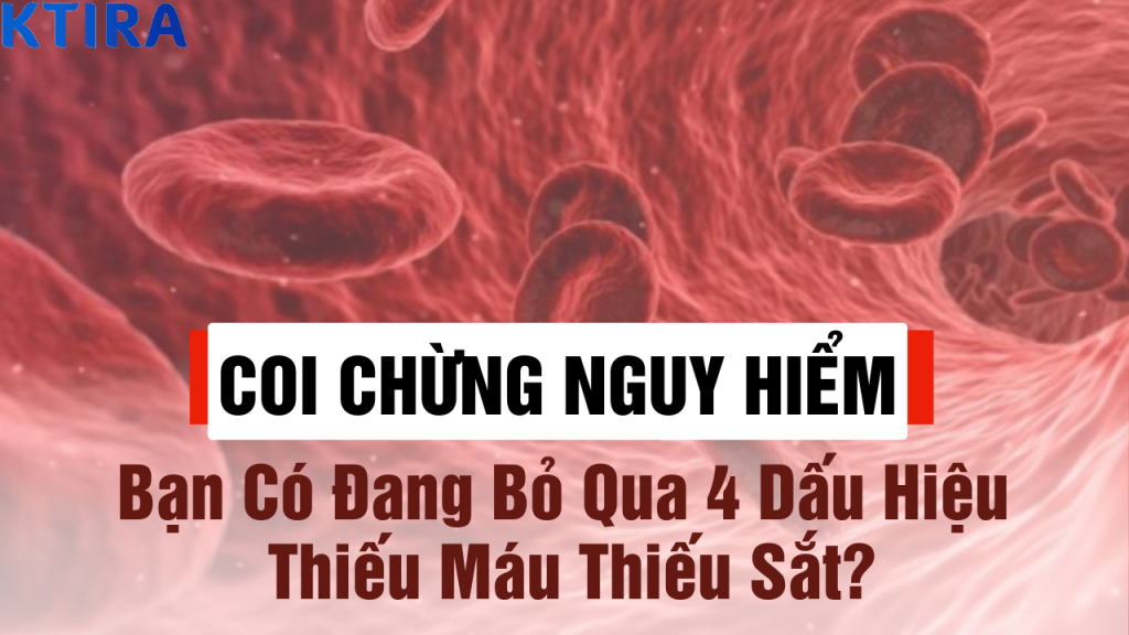 bạn có đang bị thiếu máu thiếu sắt