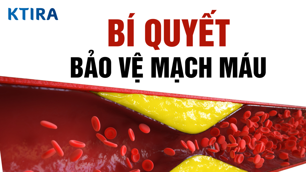 Bí quyết bảo vệ mạch máu
