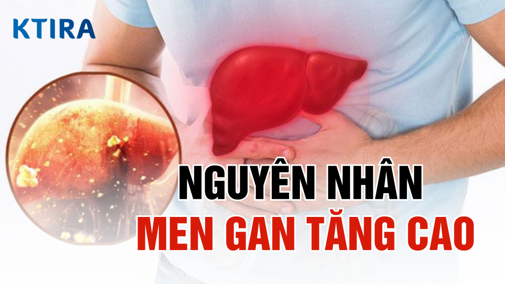 Nguyên nhân khiến men gan tăng cao