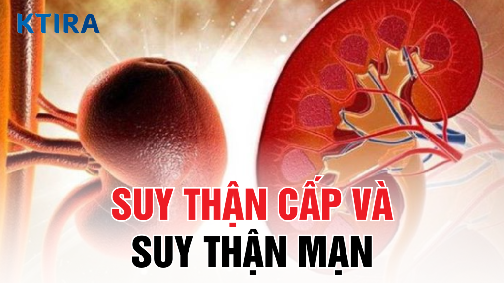 Suy thận cấp và suy thận mạn