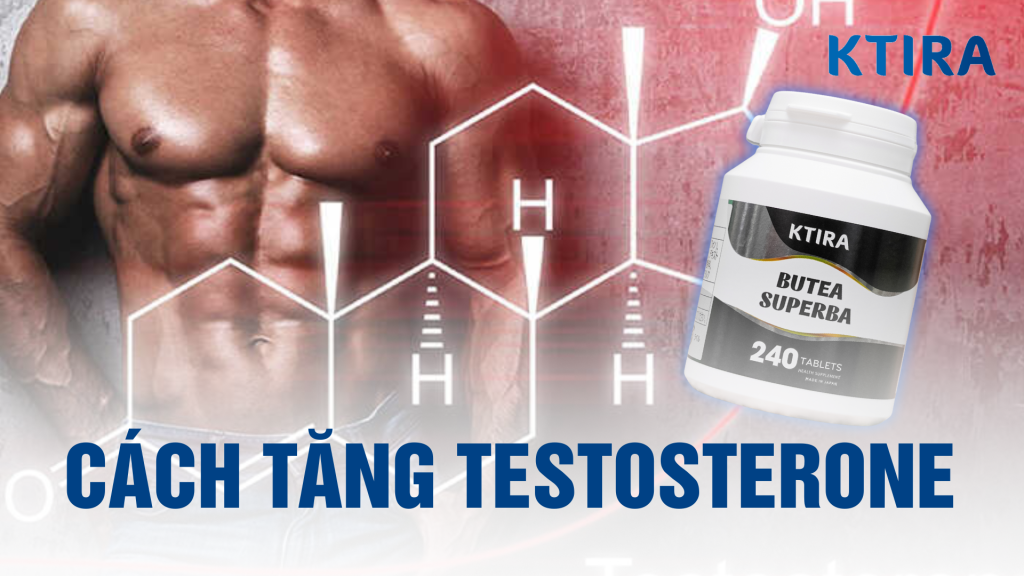 Cách tăng testosterone nam giới hiệu quả