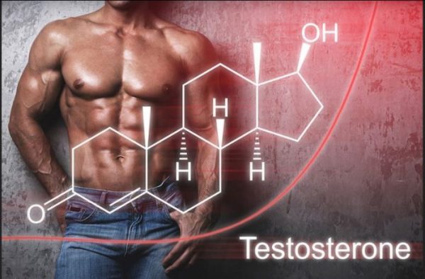 Testosterone là gì?