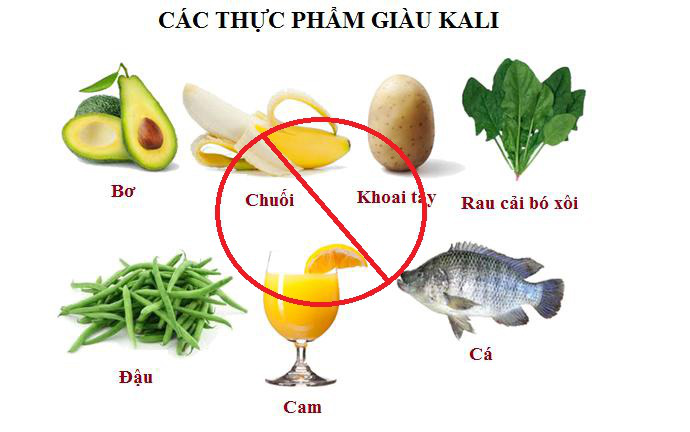 Top 4 thực phẩm tốt cho người thận yếu