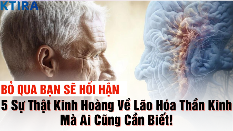 Đừng Chủ Quan: 5 Sự Thật Kinh Hoàng Về Lão Hóa Thần Kinh Mà Ai Cũng Cần Biết!