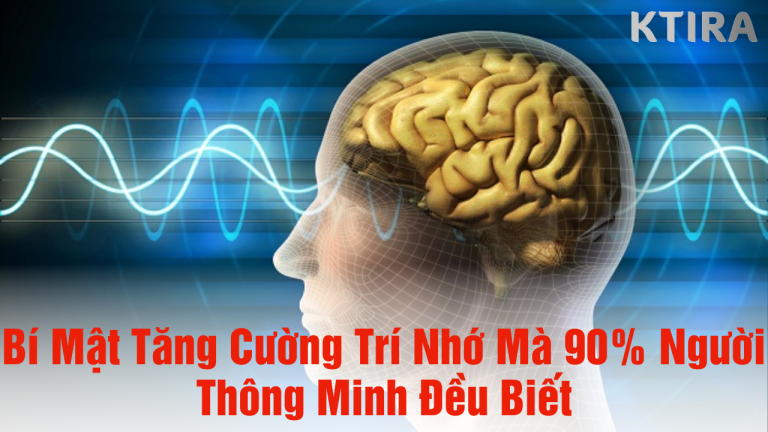 Bí Mật Tăng Cường Trí Nhớ Mà 90% Người Thông Minh Đều Biết – Bạn Đã Biết Chưa?