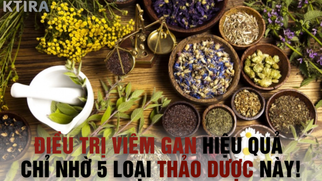 Điều Trị Viêm Gan Hiệu Quả Chỉ Nhờ 5 Loại Thảo Dược Này!