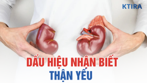 Dấu Hiệu Nhận Biết Thận Yếu ktira