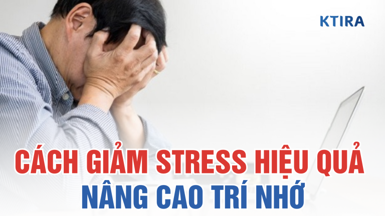 Cách Giảm Stress Hiệu Quả Để Nâng Cao Trí Nhớ Của Bạn