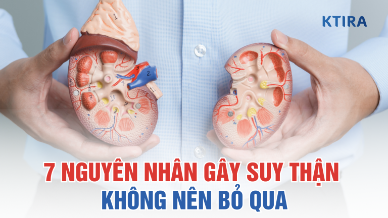 7 Nguyên Nhân Gây Suy Thận Mà Bạn Cần Phải Biết