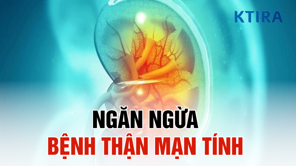 Ngăn ngừa bệnh thận mạn tính