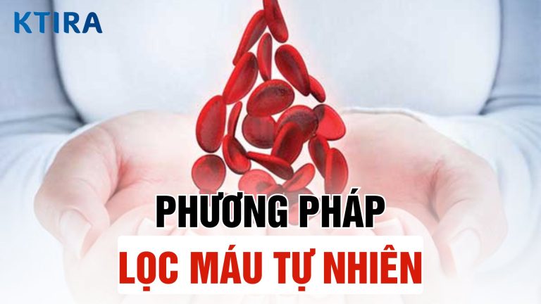4 Phương Pháp Lọc Máu Tự Nhiên Để Cải Thiện Sức Khỏe
