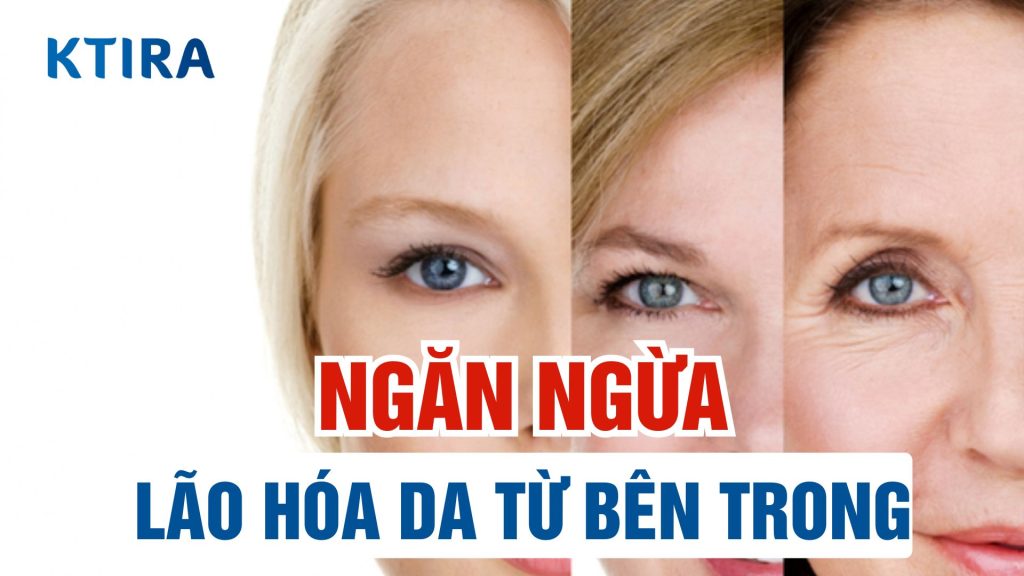 Ngăn ngừa lão hóa da từ bên trong