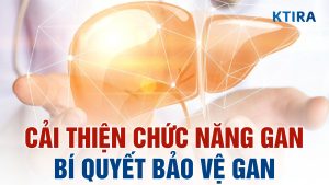 Cải thiện chức năng gan