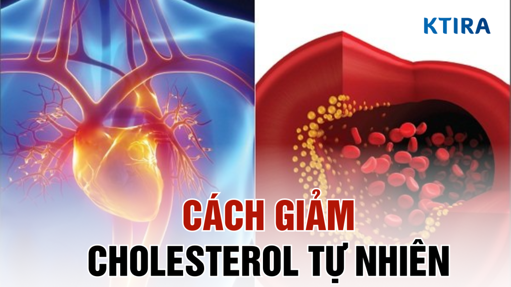 Giảm cholesterol tự nhiên