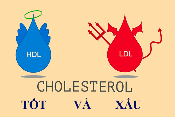 Giảm cholesterol với 5 loại thực phẩm
