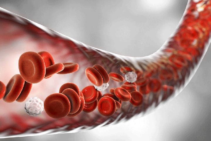 Cách giảm cholesterol bằng thực phẩm