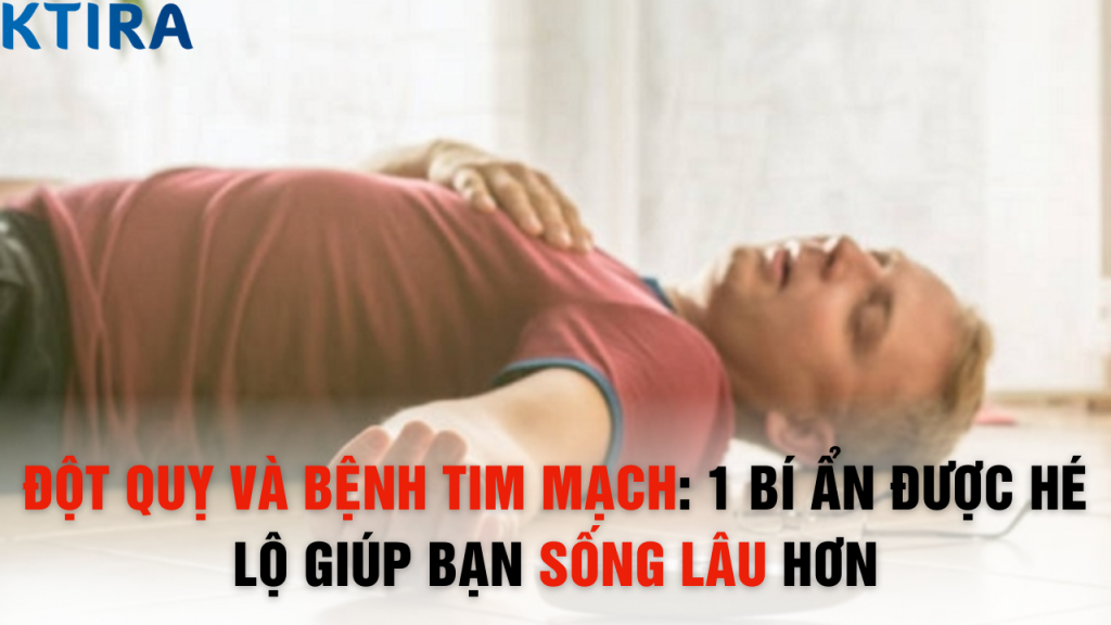 Đột Quỵ và Bệnh Tim Mạch: 1 Bí Ẩn Được Hé Lộ Giúp Bạn Sống Lâu Hơn