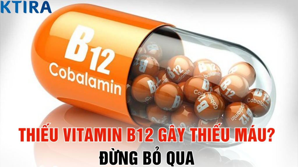 Thiếu Vitamin B12 Gây Thiếu Máu? Đây Là Giải Pháp Bạn Không Thể Bỏ Qua!