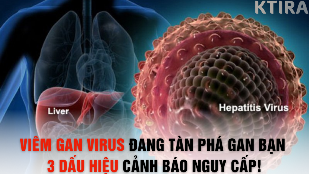 Viêm Gan Virus Đang Lặng Lẽ Tàn Phá Gan Bạn – 3 Dấu Hiệu Cảnh Báo Nguy Cấp!