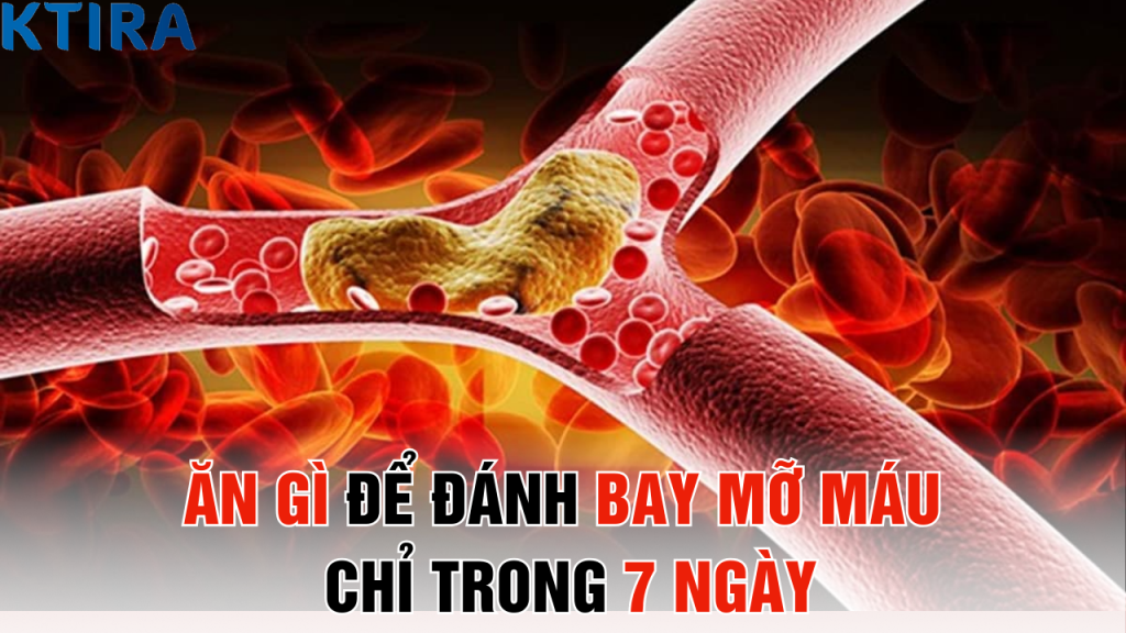 Ăn Gì Để Đánh Bay Mỡ Máu Chỉ Trong 7 Ngày