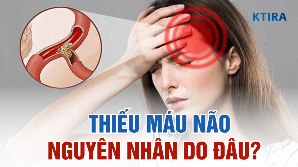 Những nguyên nhân chính gây thiếu máu