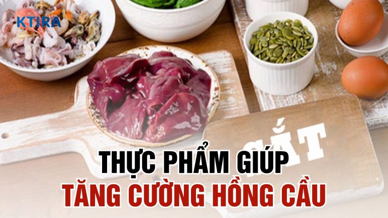 Khám Phá 5 Thực Phẩm Tăng Cường Hồng Cầu Giúp Cải Thiện Sức Khỏe Máu