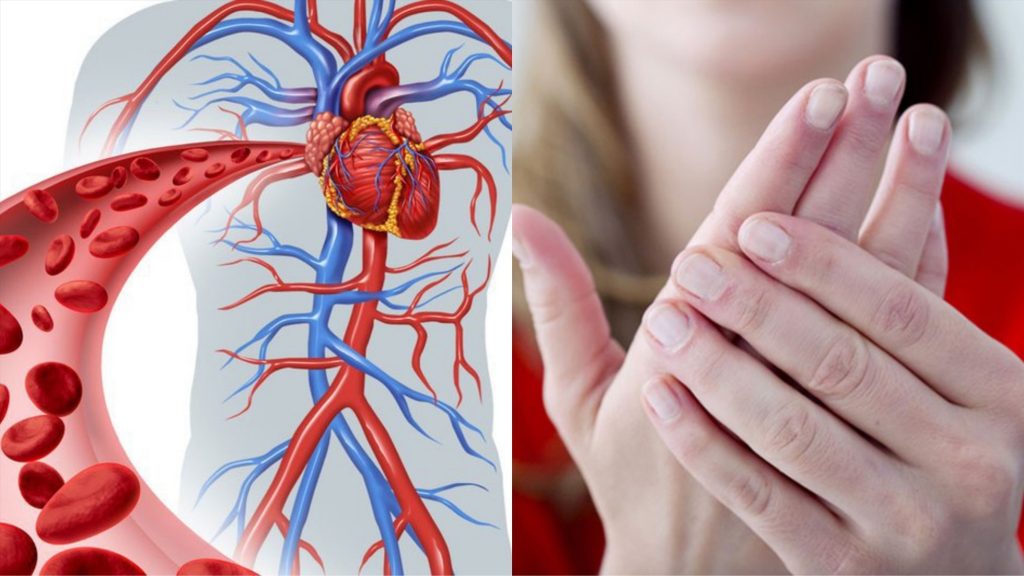 dấu hiệu lưu thông máu kém