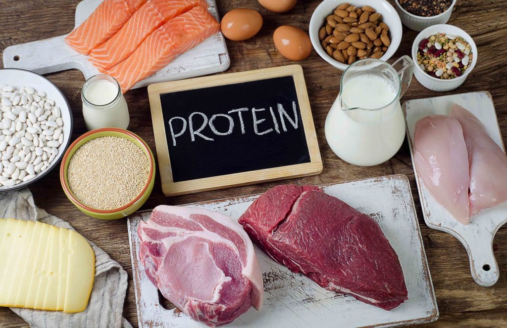 Protein là gì? KTIRA