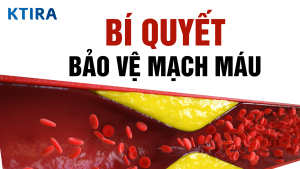 Bí quyết bảo vệ mạch máu