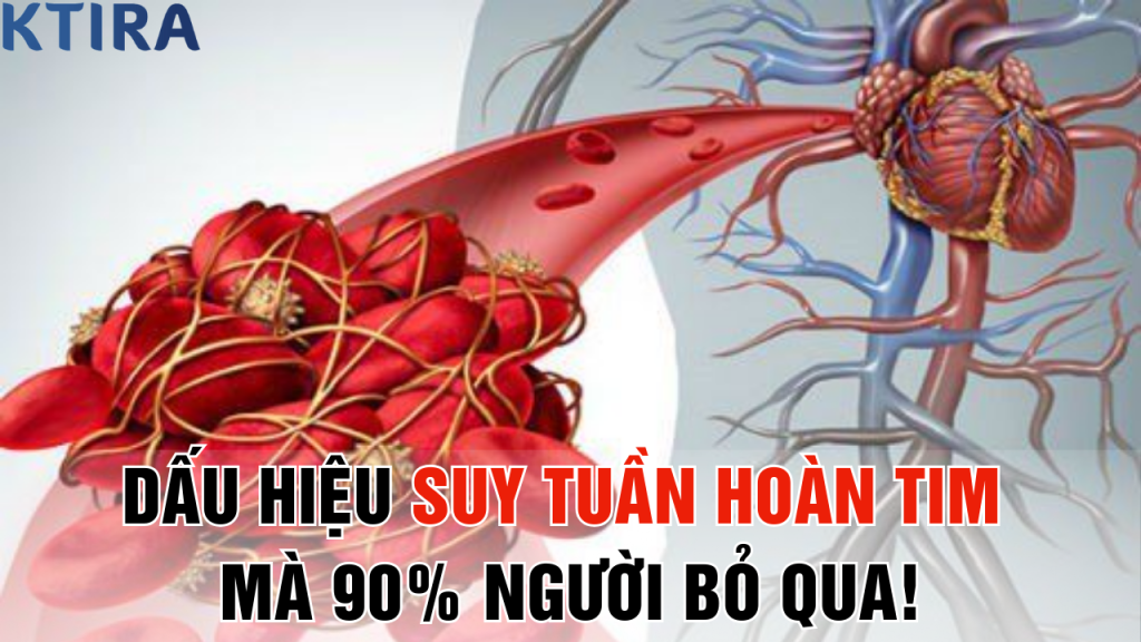 Dấu Hiệu Suy Tuần Hoàn Tim Mà 90% Người Bỏ Qua!