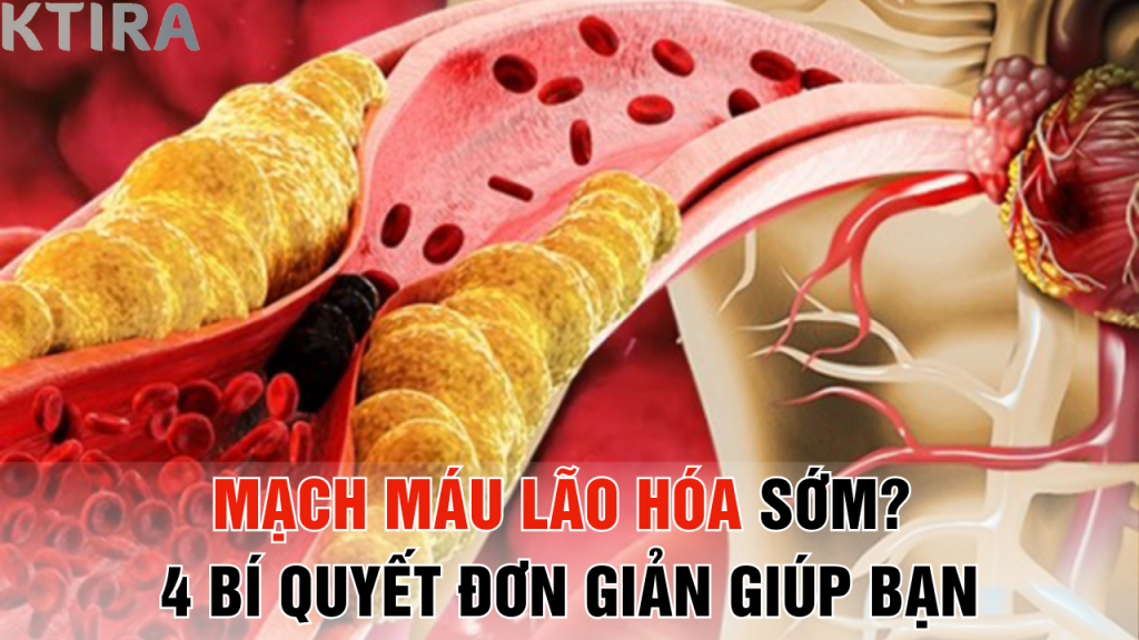 Lão Hóa Mạch Máu? 4 Bí Quyết Này Sẽ Thay Đổi Cuộc Sống Của Bạn!