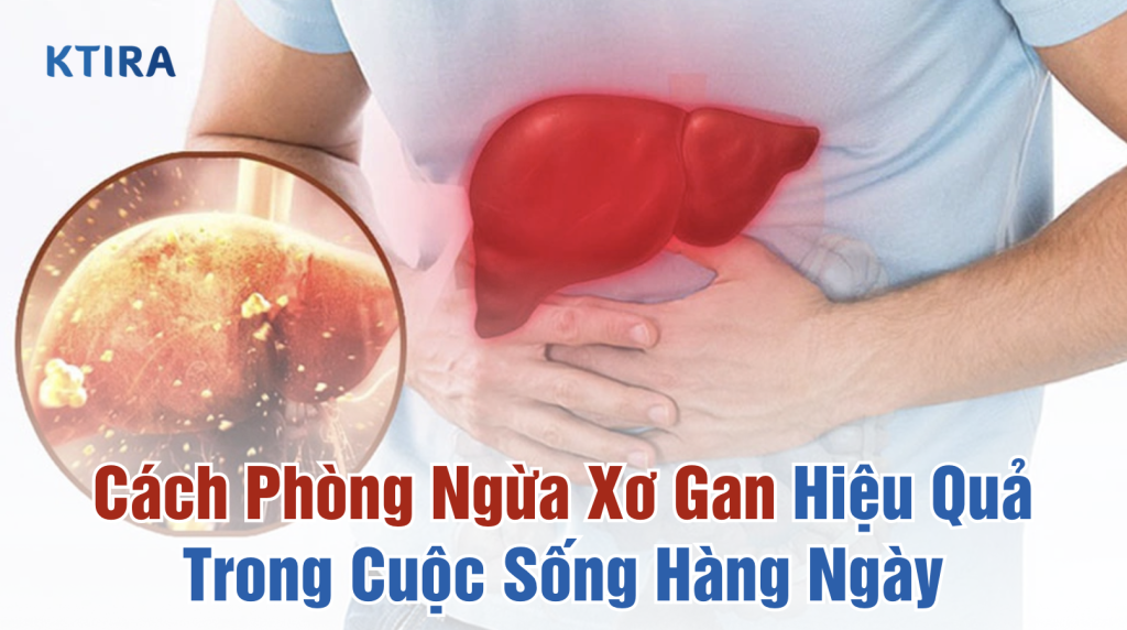 Cách Phòng Ngừa Xơ Gan Hiệu Quả Trong Cuộc Sống Hàng Ngày