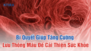 Bí Quyết Giúp Tăng Cường Lưu Thông Máu