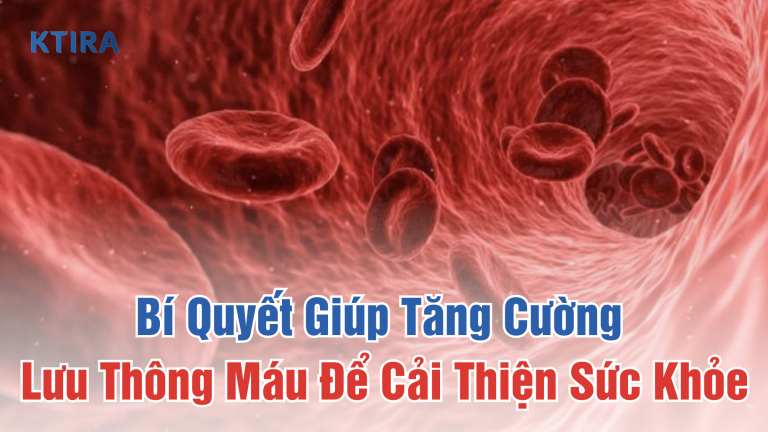Những Bí Quyết Giúp Tăng Cường Lưu Thông Máu Để Cải Thiện Sức Khỏe